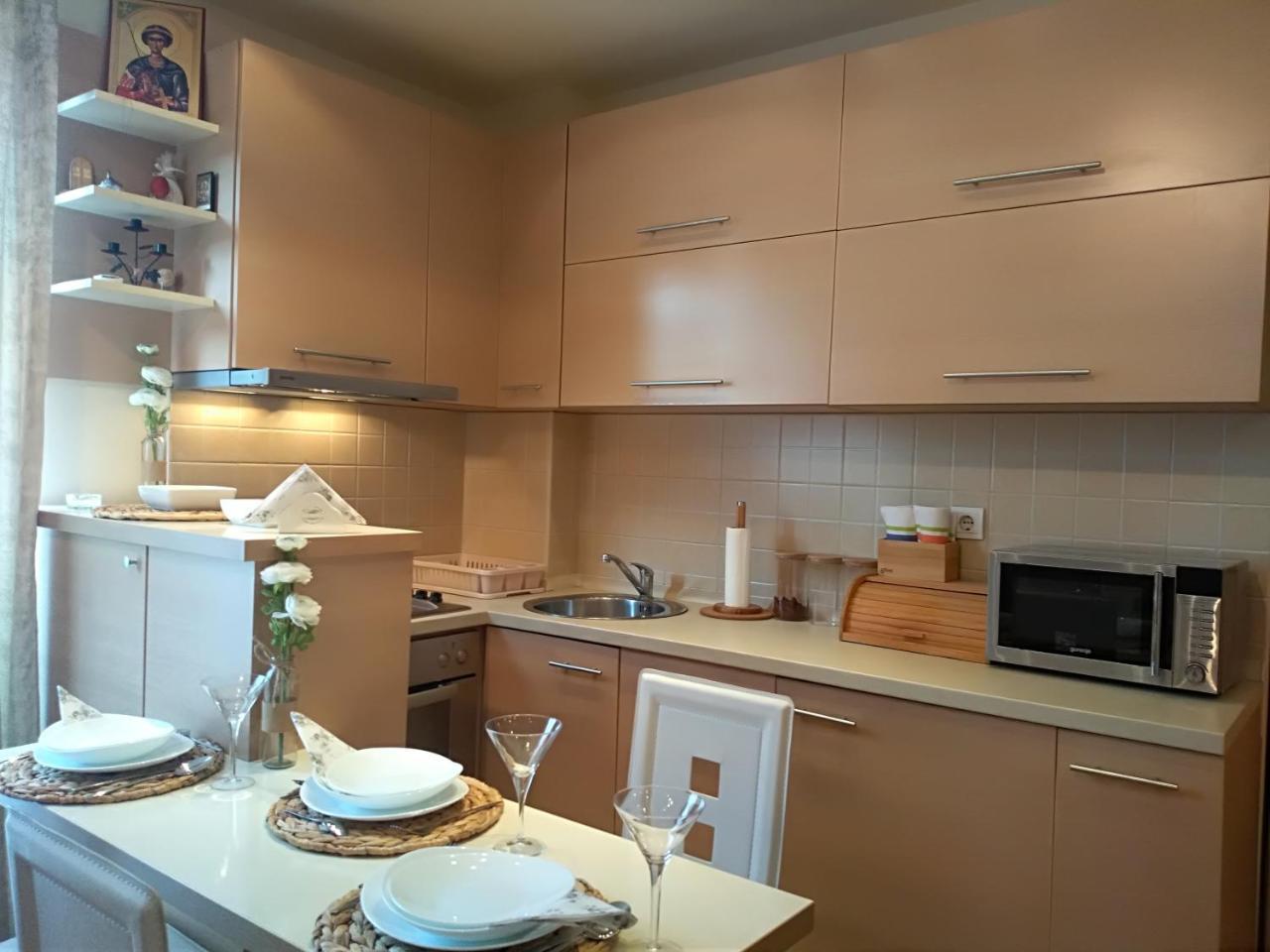 Apartman Nina Vojvode Stepe Vozdovac Voždivac Exteriör bild